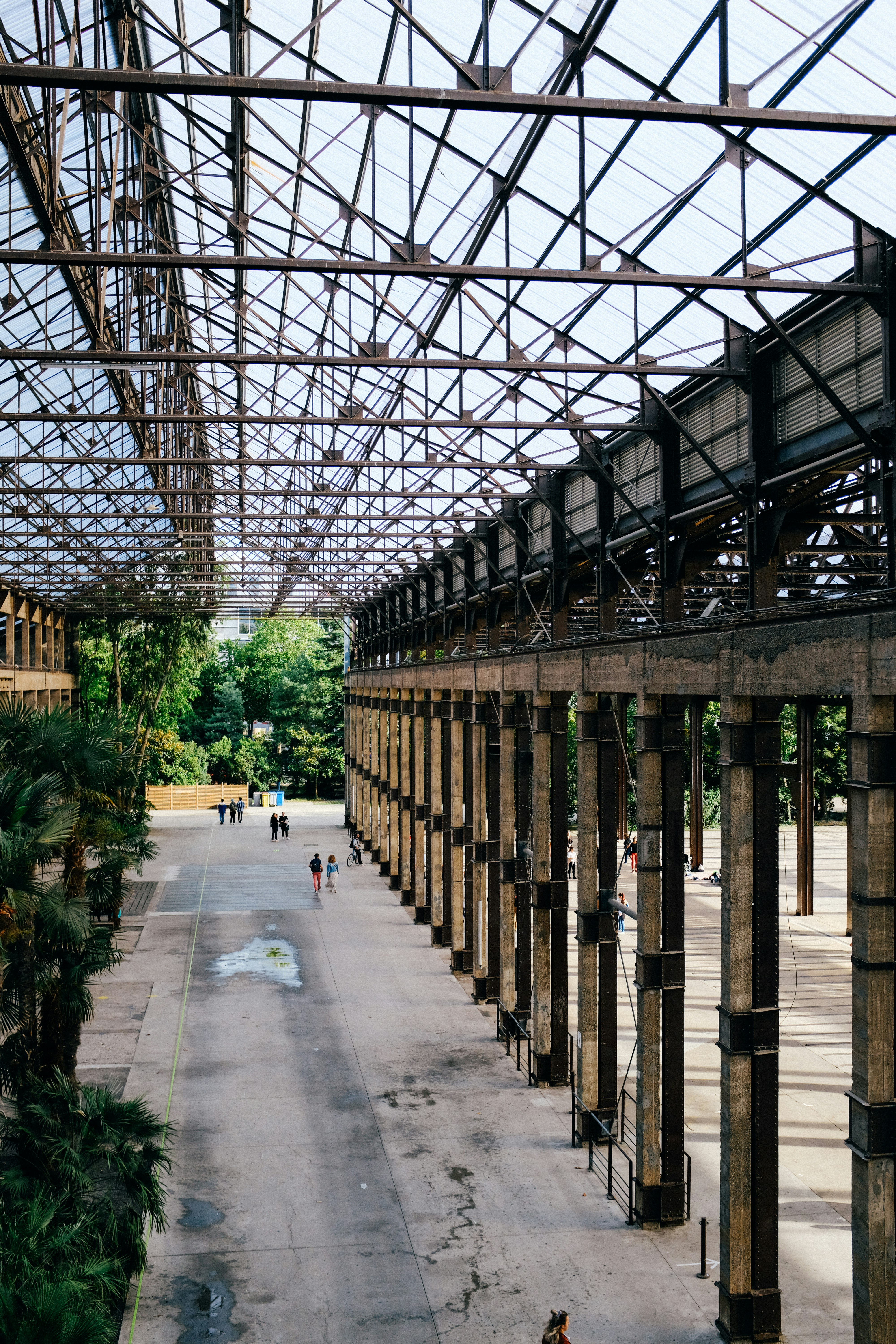 brown wooden bridge with green plants